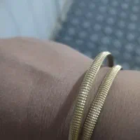 یک جفت گوشواره و2تا النگو