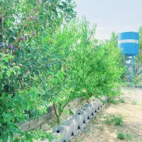 فروش زمین ۲۰۰ متری/درخت آب با سند|فروش زمین و ملک کلنگی|شهریار, شهریار|دیوار