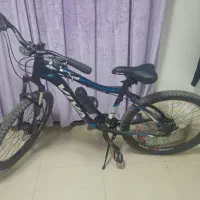 دوچرخه ویوا viva