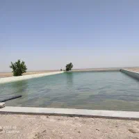 اجاره مزرعه با قیمت استثنایی باغ سالن  استخر زمین