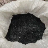 بذر پیاز مینروا آرژانتینی اصلی