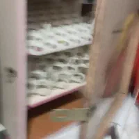 دستگاه جوجه کشی