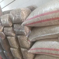 پخش تخمه و خشکبار