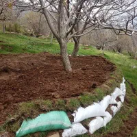 باغ|فروش دفتر صنعتی، کشاورزی، تجاری|بهار, |دیوار