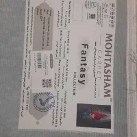 قالیچه کودک|فرش|شیراز, کوشک میدان|دیوار