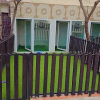 پانسیون سگ وحیوانات