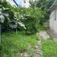 فروش  زمین به متراژ ۳۲۰ متر|فروش زمین و ملک کلنگی|تالش, هشتپر|دیوار