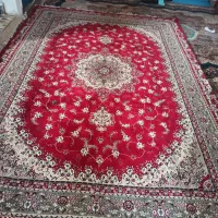 فرش|فرش|زابل, |دیوار