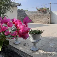 اجاره ویلاباغ تکمیل و نزدیک ، امن قیمت مناسب|اجارهٔ کوتاهمدت ویلا و باغ|بهبهان, |دیوار