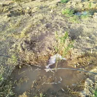 فروش باغچه 3500متری واقع در شبانکاره میمند|فروش زمین و ملک کلنگی|شیراز, عادل آباد|دیوار