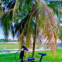 دوچرخه تاشو تایوانی سبک با تجهیزات و کاور رودوشی