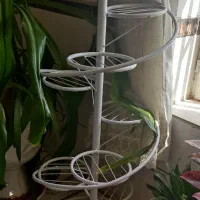 فروش استندگل