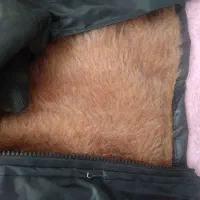 کاپشن بادگیر|لباس|تربت جام, زیباکنار|دیوار