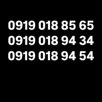 0919-219-00-87|سیمکارت|بابل, |دیوار