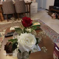 ۸۰ متر آپارتمان در شهرک نفت منطقه پنج|اجارهٔ آپارتمان|تهران, شهرک نفت (منطقه ۵)|دیوار