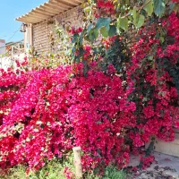 استخدام نیروی خدماتی .مرکز توانبخشی اعصاب و روان