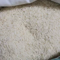 طارم و دم سیاه برج ایرانی