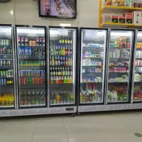 انواع یخچال فروشگاه ایستاده ، خوابیده