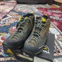 پوتین کوهساری نو