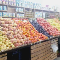 پالت و میز میوه فروشی|فروشگاه و مغازه|محمدشهر, شهرک چمران|دیوار