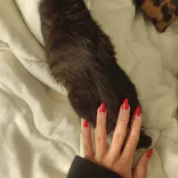 به یک دستیارناخن متعهدو مسئولیت پذیر نیازمندم