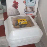 دستگاه جوجه کشی۴۲تایی