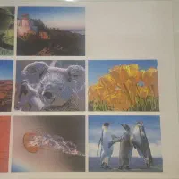 پرینتر اپسون|پرینتر، اسکنر، کپی، فکس|آبادان, |دیوار