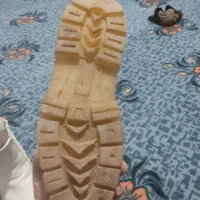 بوت برشکا|کیف، کفش، کمربند|فشاپویه, |دیوار