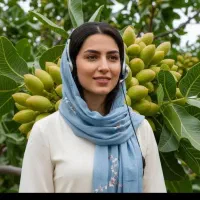 فروش نهال یک ساله تا سه ساله