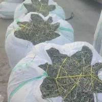 یونجه شاهزاده ابراهیم