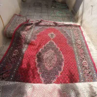 فرش شش متری ماهی|فرش|ارومیه, |دیوار