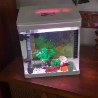 سلام دو ماه پسرم خریده.