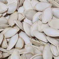 تخمه کدو|خوردنی و آشامیدنی|بهمن صغاد, |دیوار