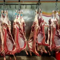 قصابی و ذبح گوسفند درمحل خود شما