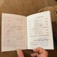 فرنچ بولداگ  نر|سگ|تهران, جردن|دیوار