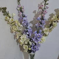 چهار شاخه گل خارجی