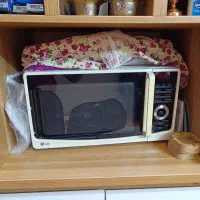 ماکروفر الجی