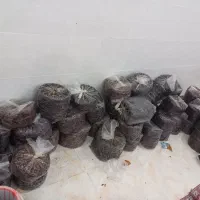 فروش خرماشهرستان مهر