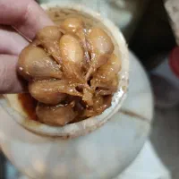 سیر ترشی 6ساله خانگی
