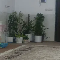 خانه اجاره‌ای دوخوابه حیاط دار،یک طبقه