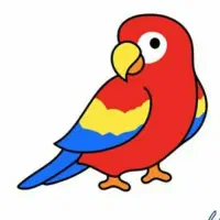 طوطی برزیلی پیدا شده