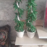 گل مصنوعی سالم