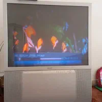 تلویزیون|تلویزیون و پروژکتور|میاندوآب, |دیوار