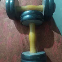 دمبل اوکراینی