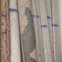 ۳تا فرش آبی یک نقش|فرش|گنبد کاووس, |دیوار