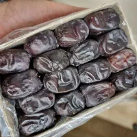 خرما مضافتی، فروش عمده و استثنایی زیر قیمت بازار