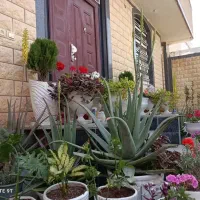 خانه ویلایی سه خواب