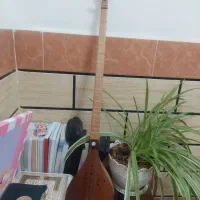 سه تار پایروند|سازهای سنتی|شوش, |دیوار