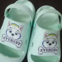 کفش|کیف، کفش، کمربند|گلبهار, شهر جدید گلبهار|دیوار