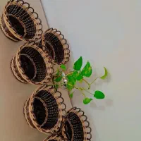 سبد های جای سبزی|ظروف نگهدارنده، پلاستیکی، یک‌بارمصرف|ازنا, |دیوار